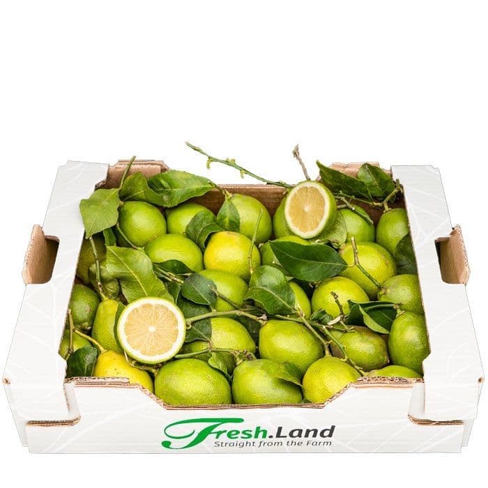 Øko Citron 🇪🇸