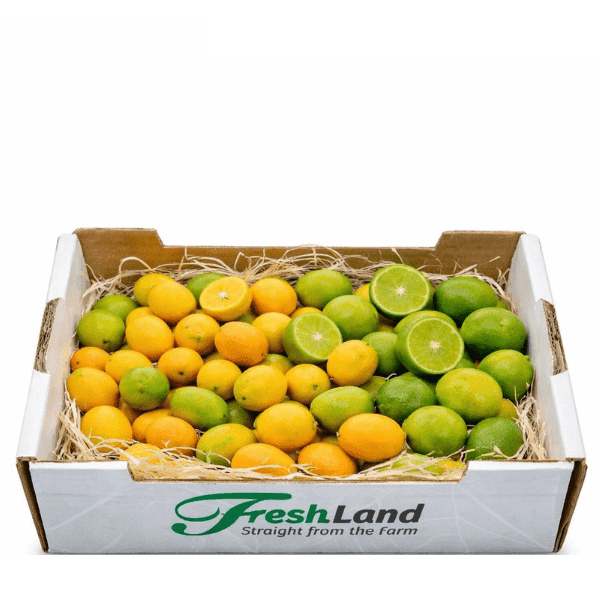 Øko Limequat / Kumquat 🇪🇸