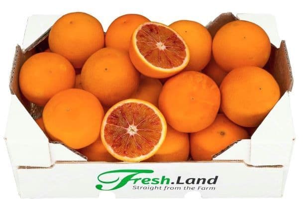 Øko Siciliansk Blodappelsin 🇮🇹 — Fresh.Land