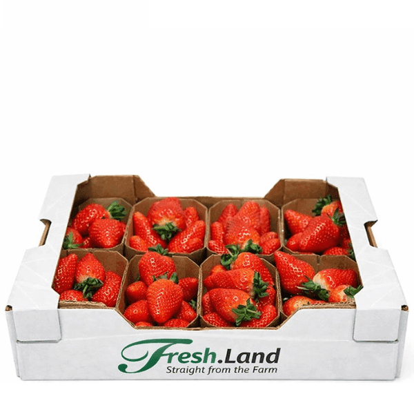 Øko Jordbær 🇪🇸