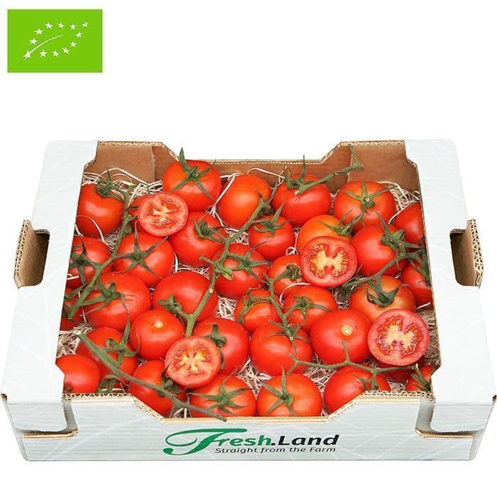 Øko Tomater på stilk 🇪🇸 — Fresh.Land