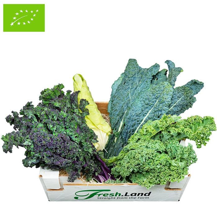Øko Dansk Bladkål 🇩🇰 — Fresh.Land