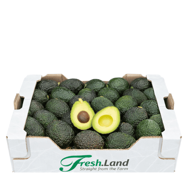 Øko Hass Avocado 🇪🇸 — Fresh.Land
