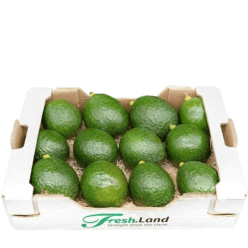 Øko Reed Avocado 🇪🇸