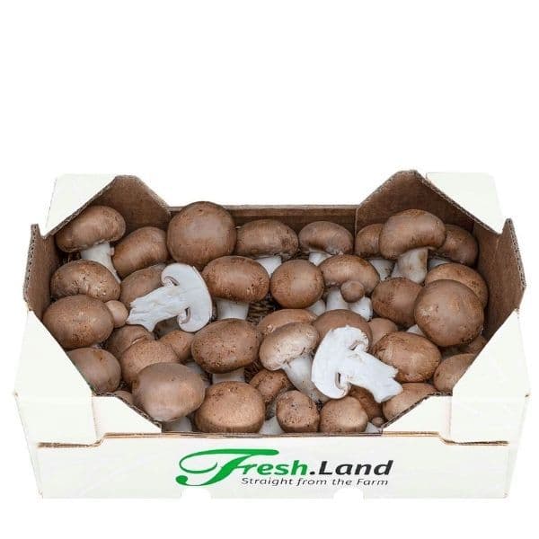 Øko Brun Champignon 🇩🇪