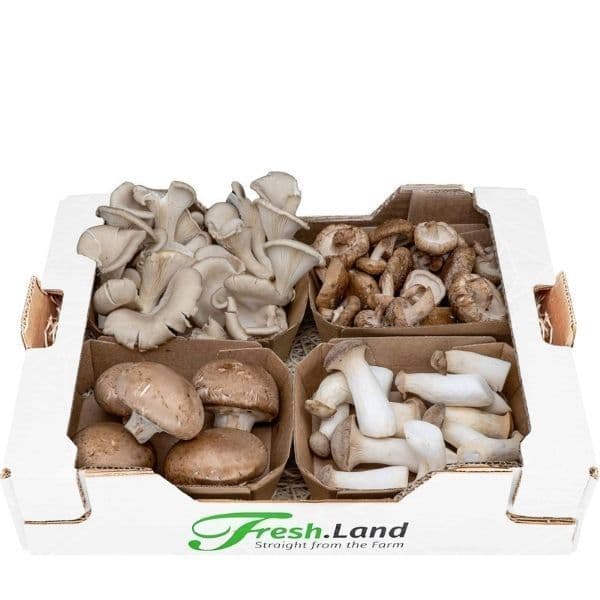 Øko Svampekassen 🇩🇪