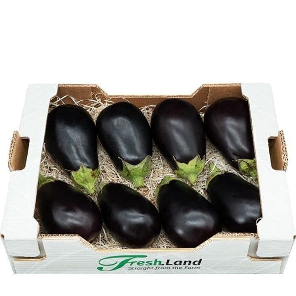 Øko Aubergine 🇪🇸