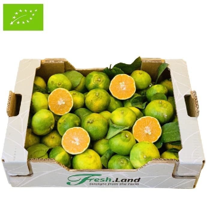 Øko Satsumas 🇪🇸 — Fresh.Land