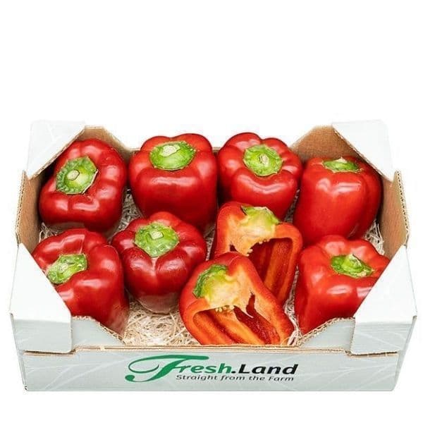 Øko Rød Peberfrugt 🇪🇸