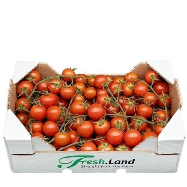 Øko Cherrytomater på stilk 🇪🇸