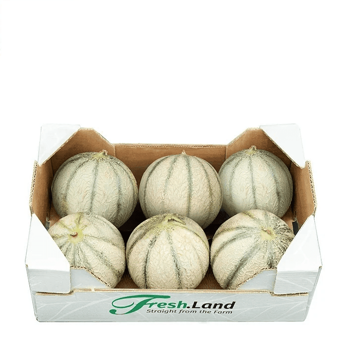 Øko Mini Cantaloupe Melon 🇪🇸 — Fresh.Land