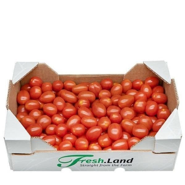 Øko Blomme Cherrytomater 🇪🇸