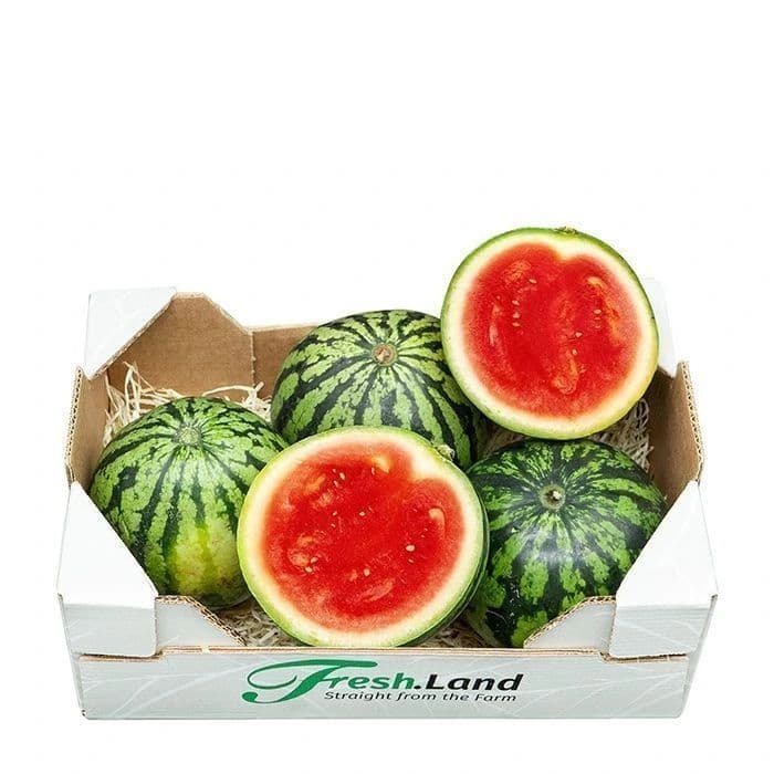 Øko Mini Vandmelon 🇪🇸 — Fresh.Land