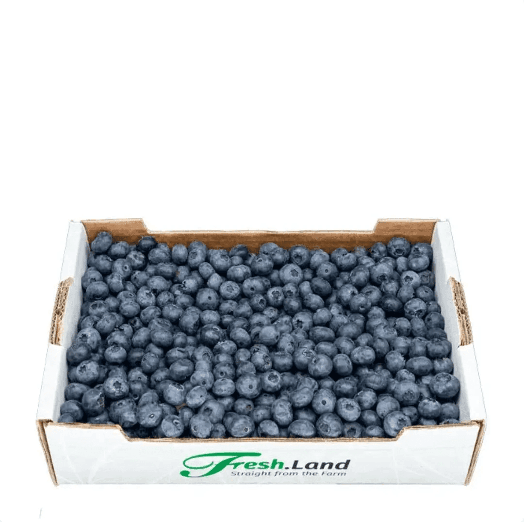 Øko Blåbær 🇵🇹 — Fresh.Land
