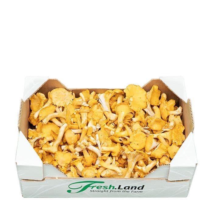 Deluxe Kantareller 🇸🇪