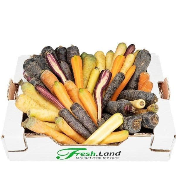 Øko Regnbue Gulerødder 🇩🇰 — Fresh.Land