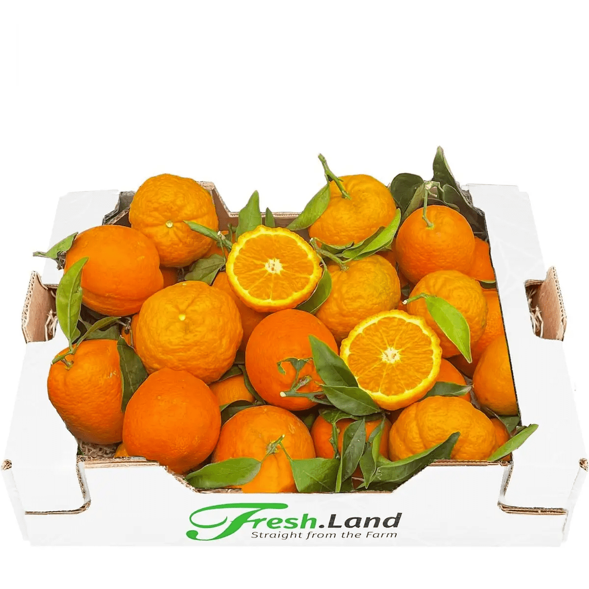 Øko Pomerans 🇪🇸