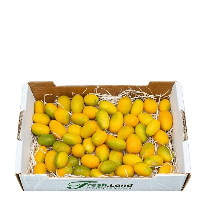 Øko Kumquat 🇪🇸