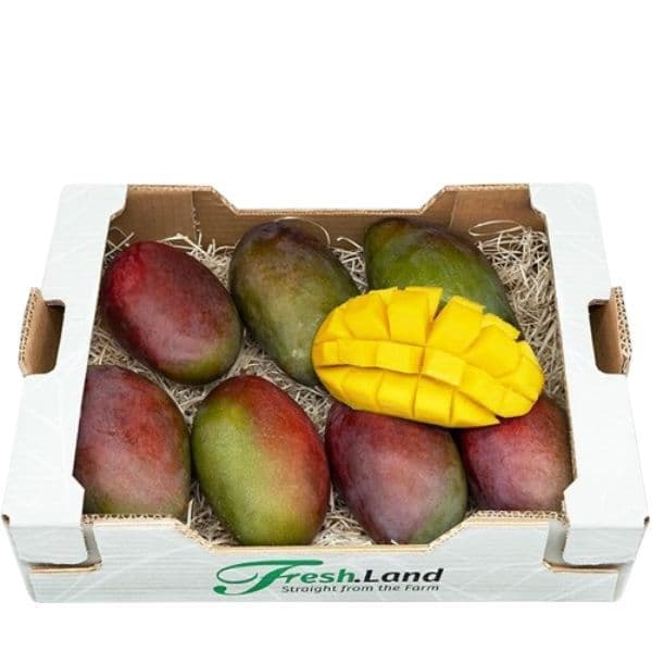 Øko Kæmpe Mango 🇪🇸 — Fresh.Land