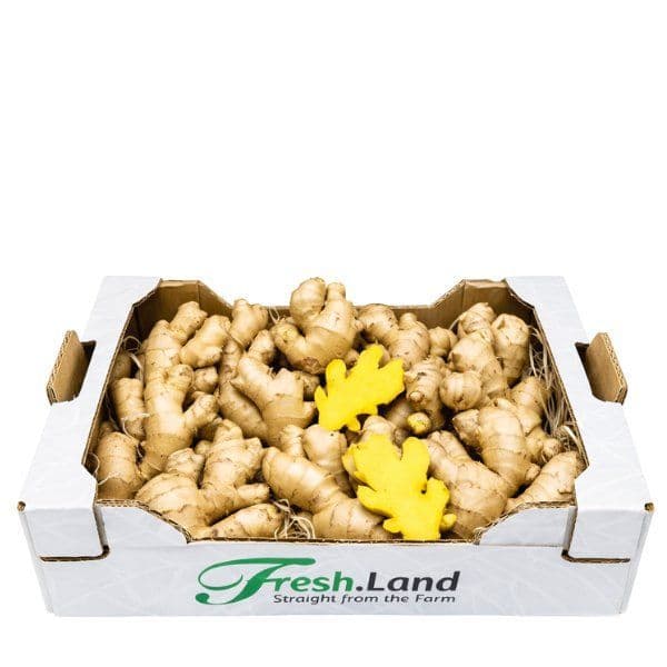 Øko Ingefær 🇵🇪