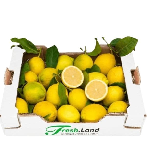 Øko Citron 🇪🇸