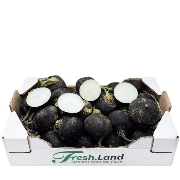 Øko Sort Ræddike 🇩🇰