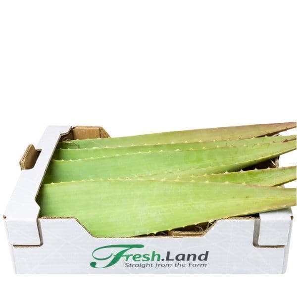 Øko Aloe Vera 🇪🇸