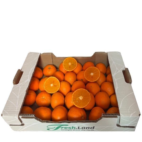 Øko Ortanique 🇪🇸