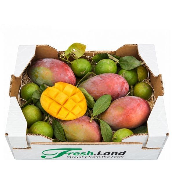 Øko Mango- & Citronmix 🇪🇸