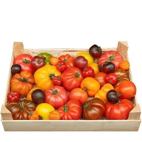 Heirloom Tomater 🇧🇪
