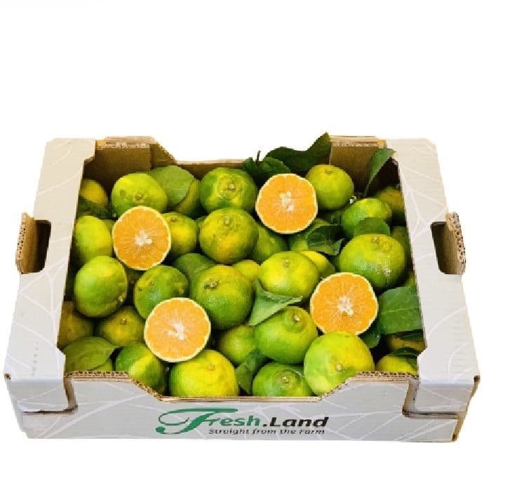 Øko Satsumas 🇪🇸
